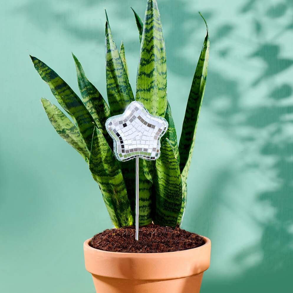 indoor house plant stakes Disco Star