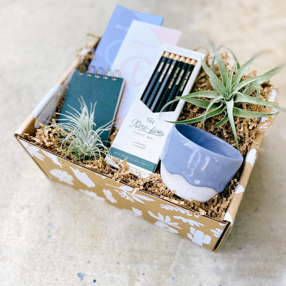 Gift box with air plant, handmade planter and botanical gifts in whimsical gift box mailer