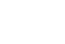 White Paloverde Botanicals logo custom gift boxes