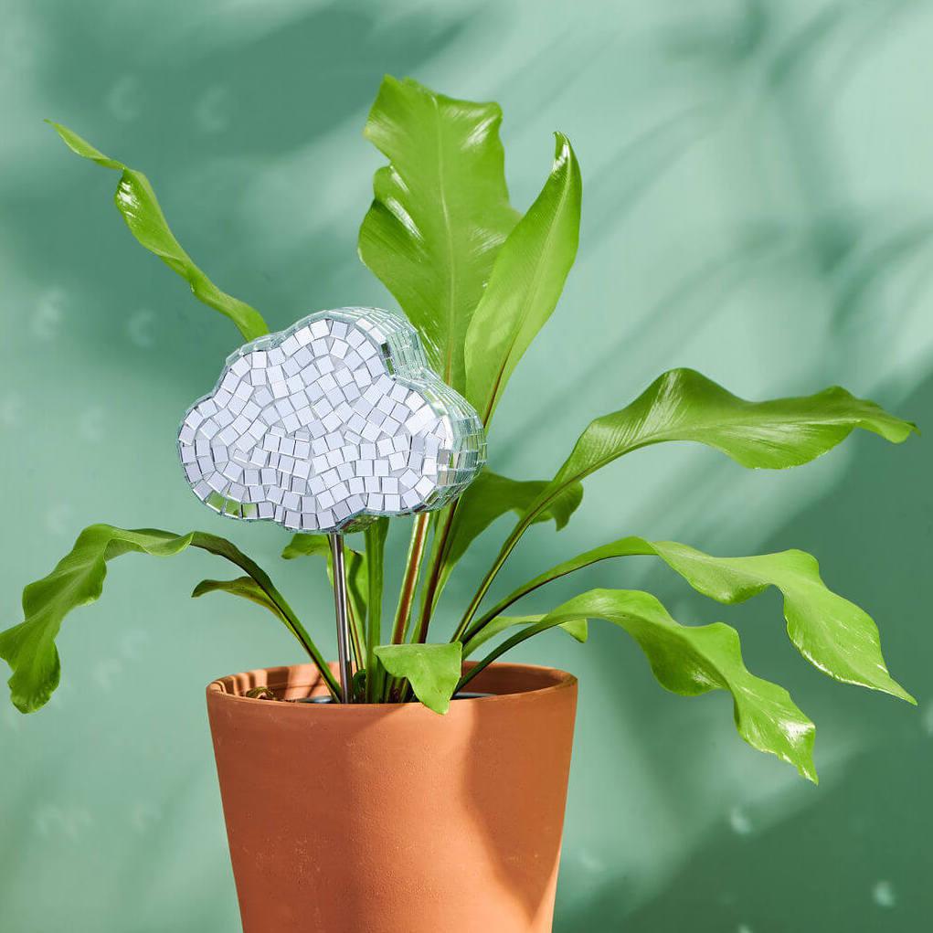 decorative potted plant stakes Disco Cloud