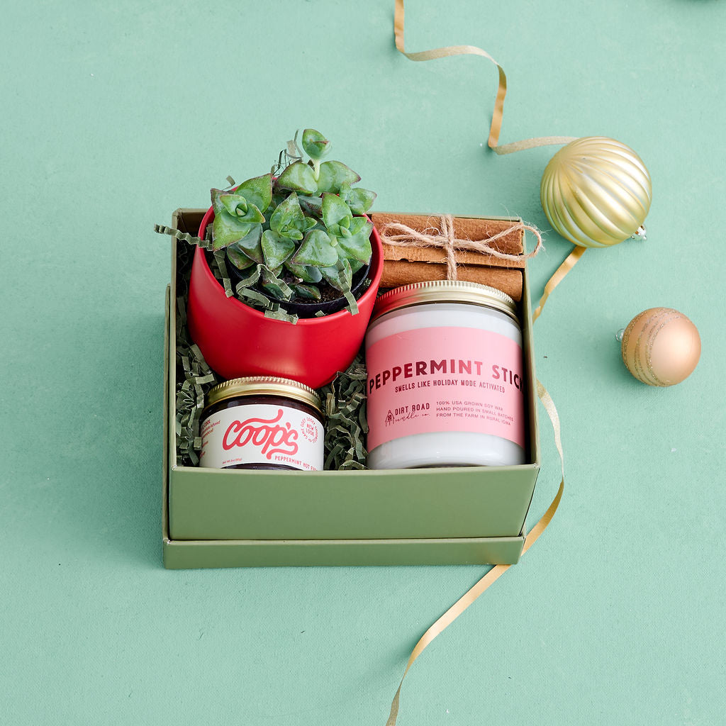 succulent gift boxes Peppermint Dream