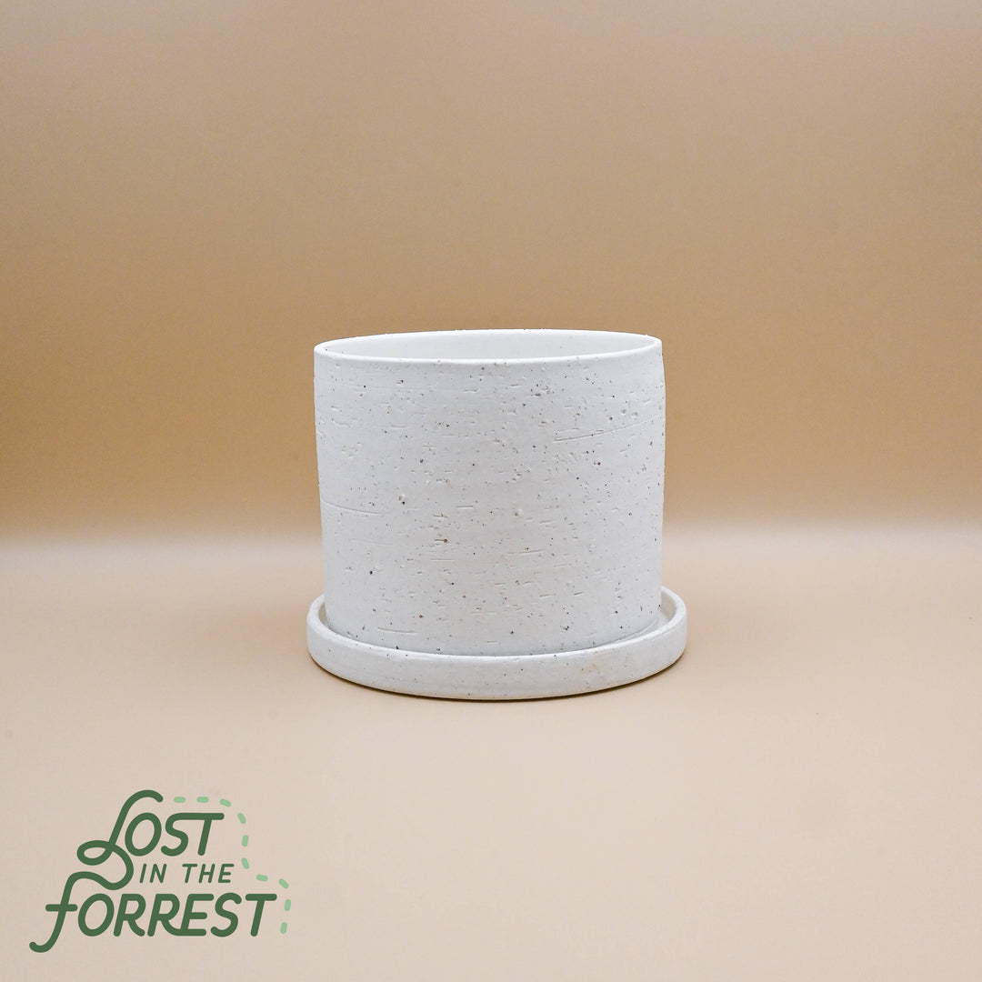 5" Easton White Pot