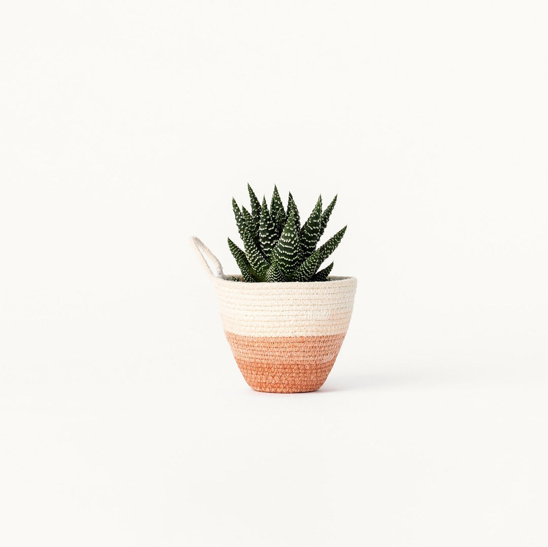 Mini Planter - Terracotta + Natural Decor Mokun 