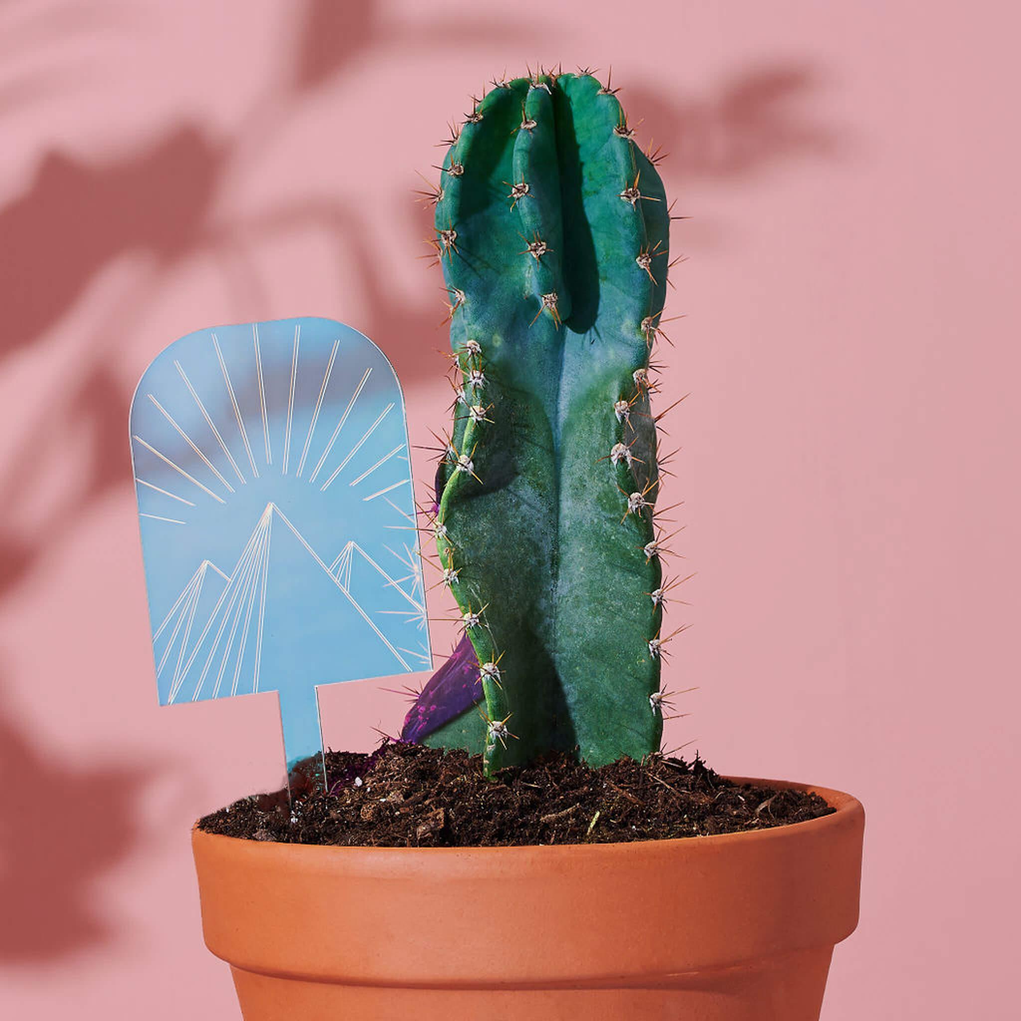 mirrored pot plant Radiant Pyramid