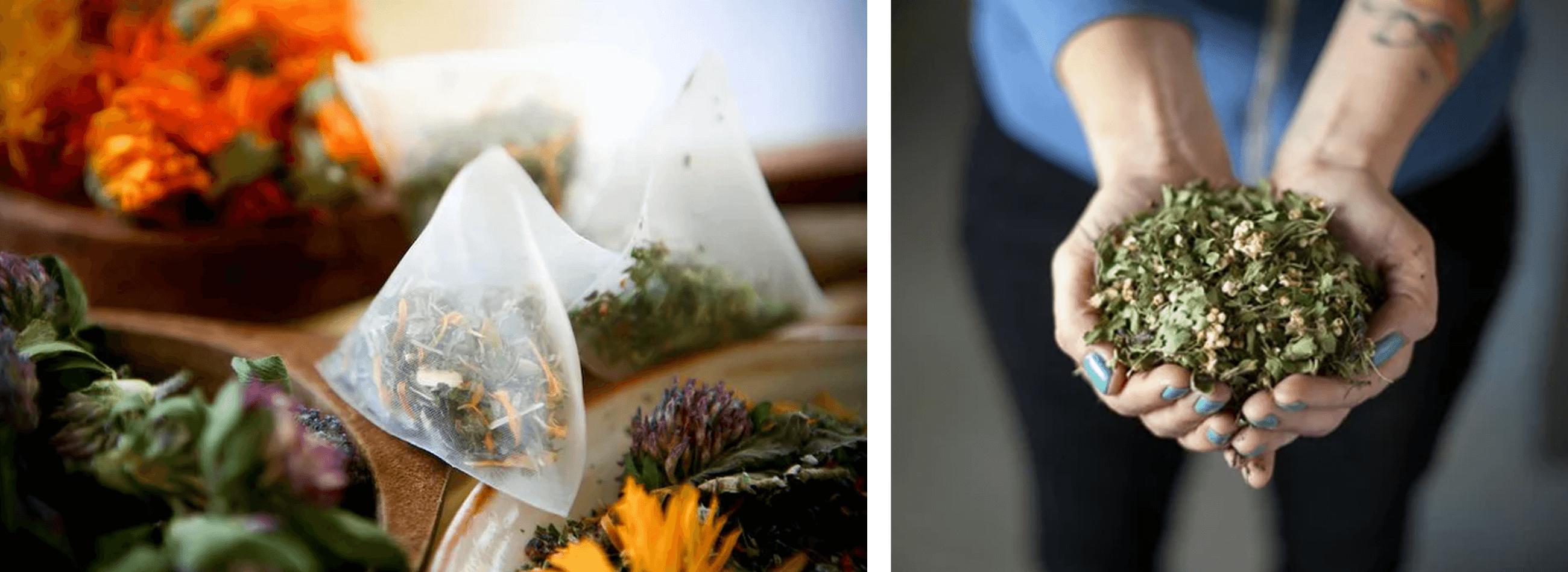 Flying Bird Botanicals tea in open hands and compostable tea bag