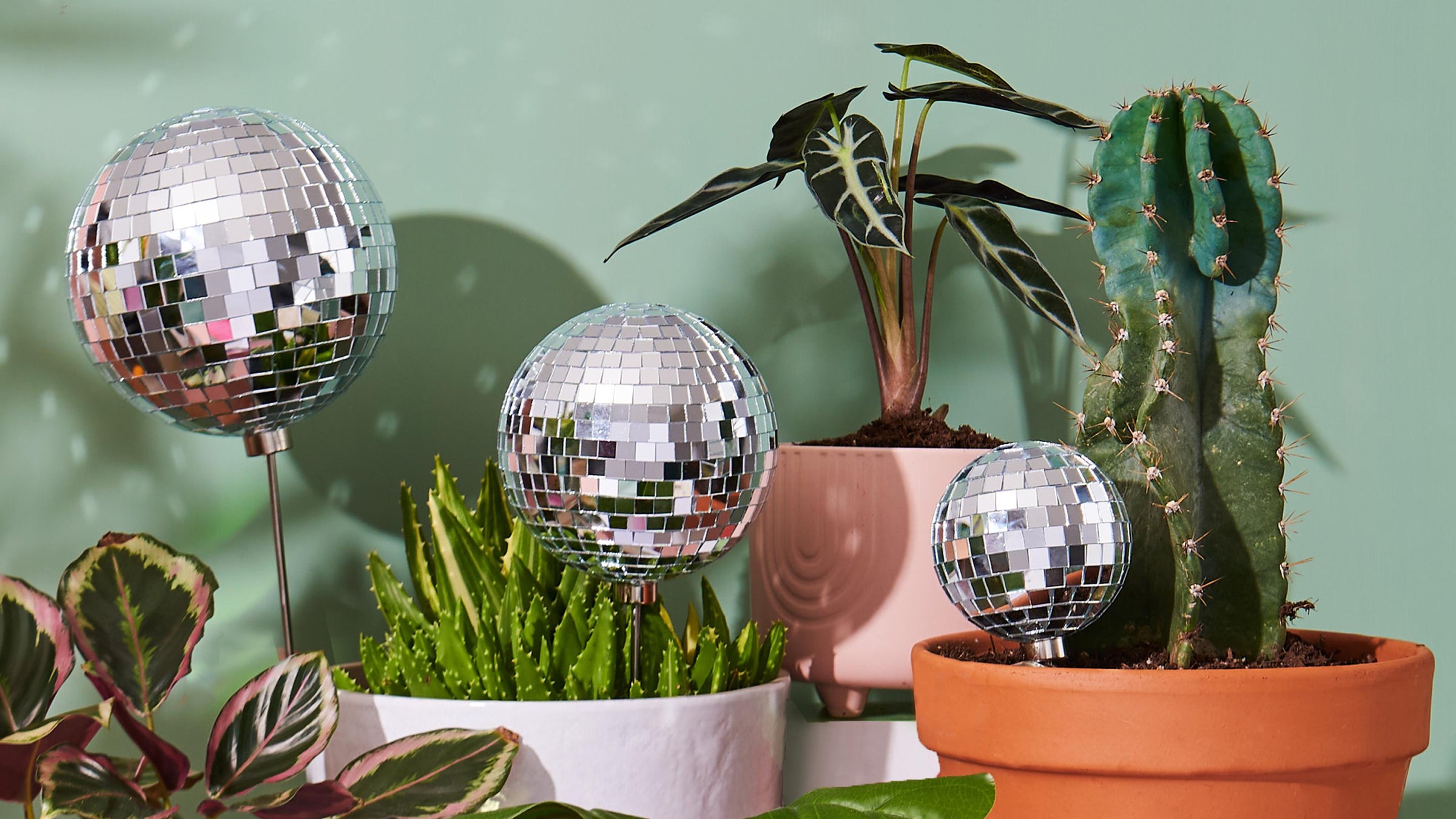 Paloverde's collection of disco ball plant stakes in various sizes placed in modern potted houseplants