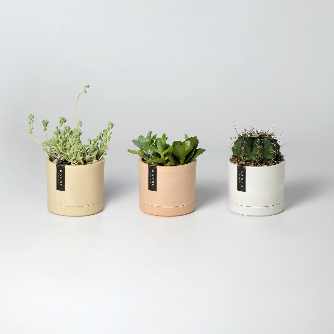 earthy plant pots 3.5" Earth Tone Mini Planters – Paloverde Botanicals