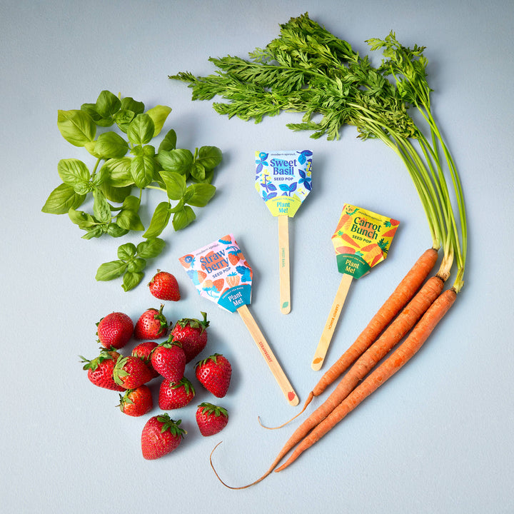 Garden Seed Pop - Sweet Basil