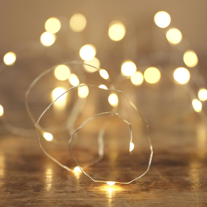 Silver Battery Power String Lights