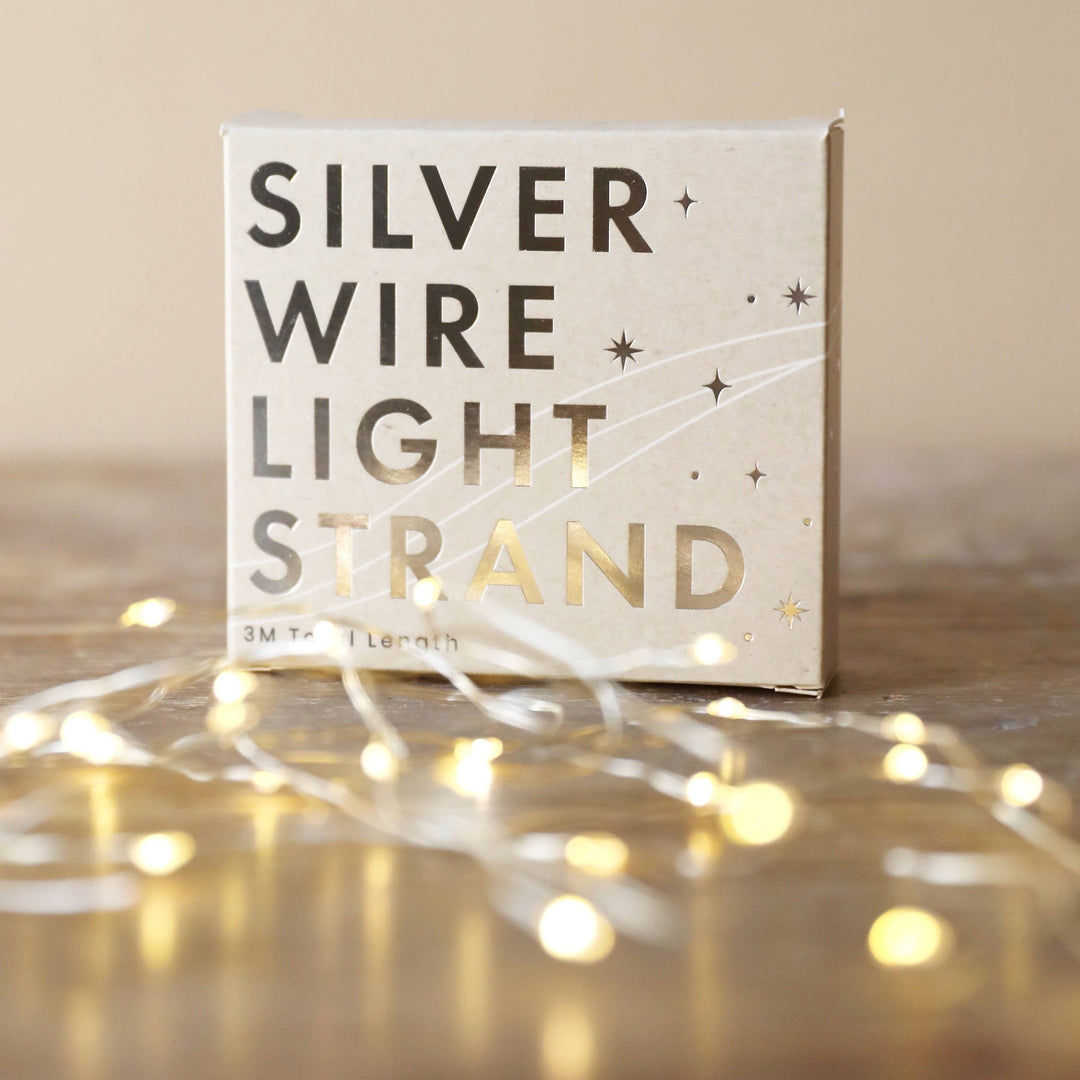 Silver Battery Power String Lights