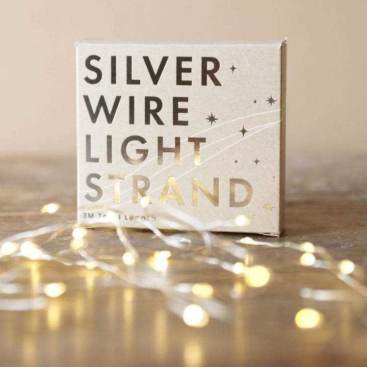 Silver Battery Power String Lights