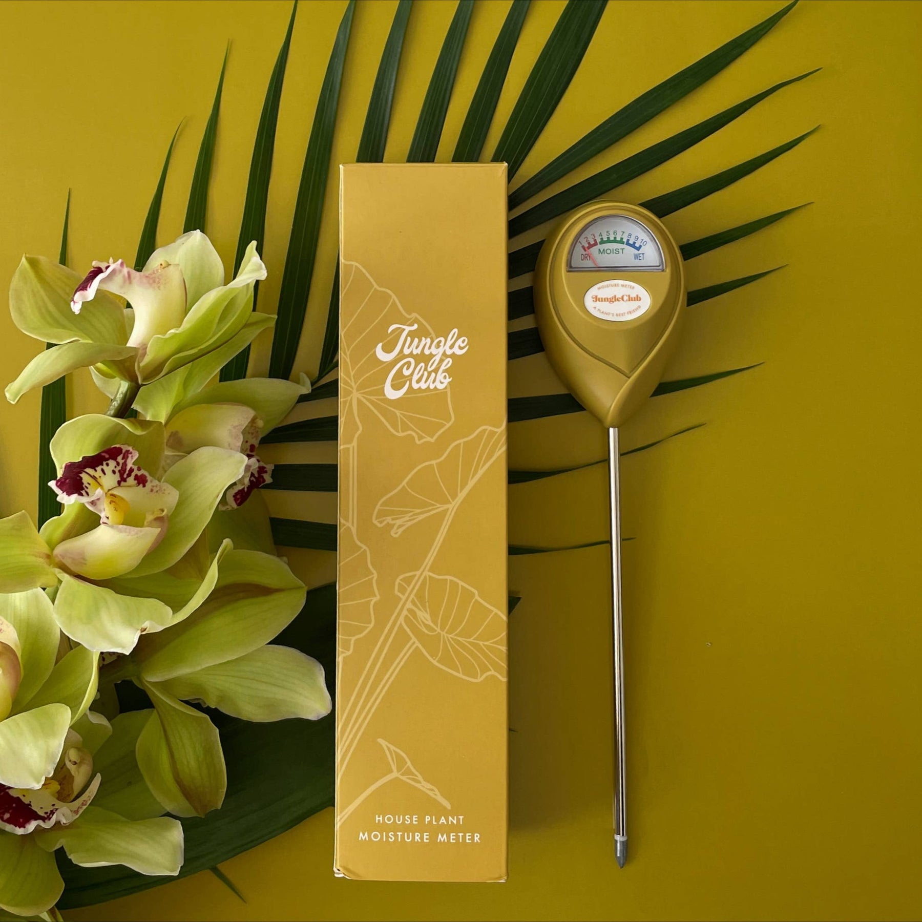 swiss cheese plant moisture meter Mustard Moisture Meter – Paloverde Botanicals