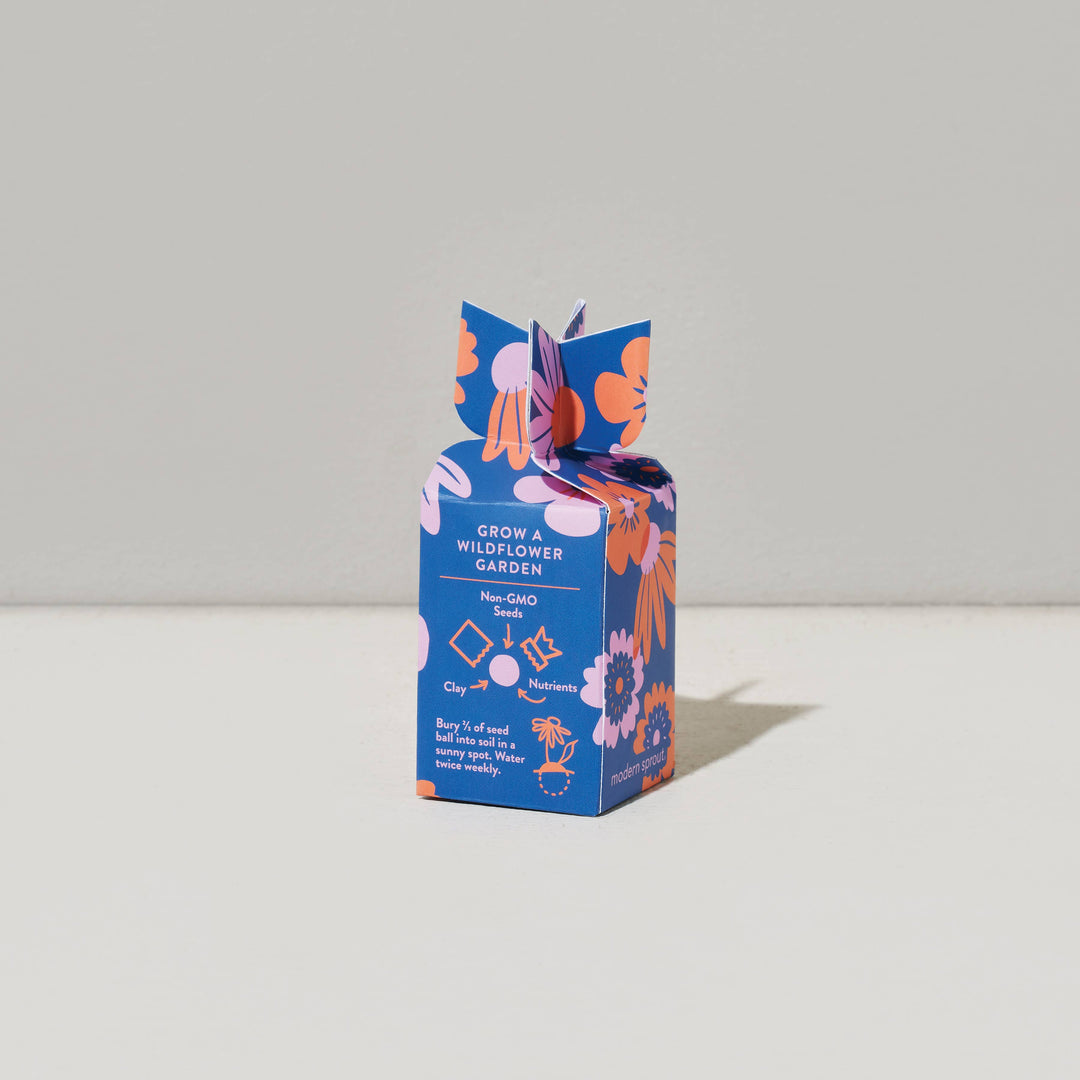 Seed Bomb - Well Being Boost