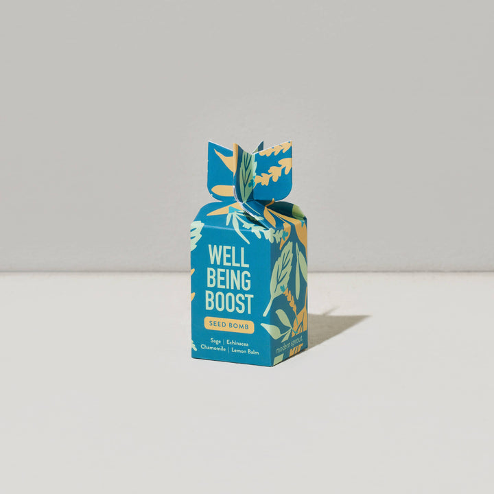 Seed Bomb - Well Being Boost