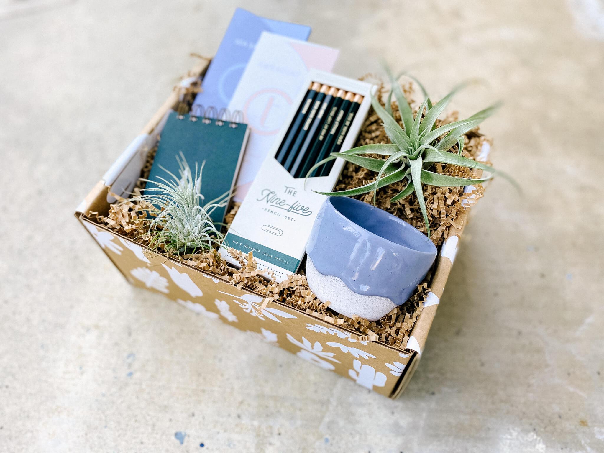 Gift box with air plant, handmade planter and botanical gifts in whimsical gift box mailer