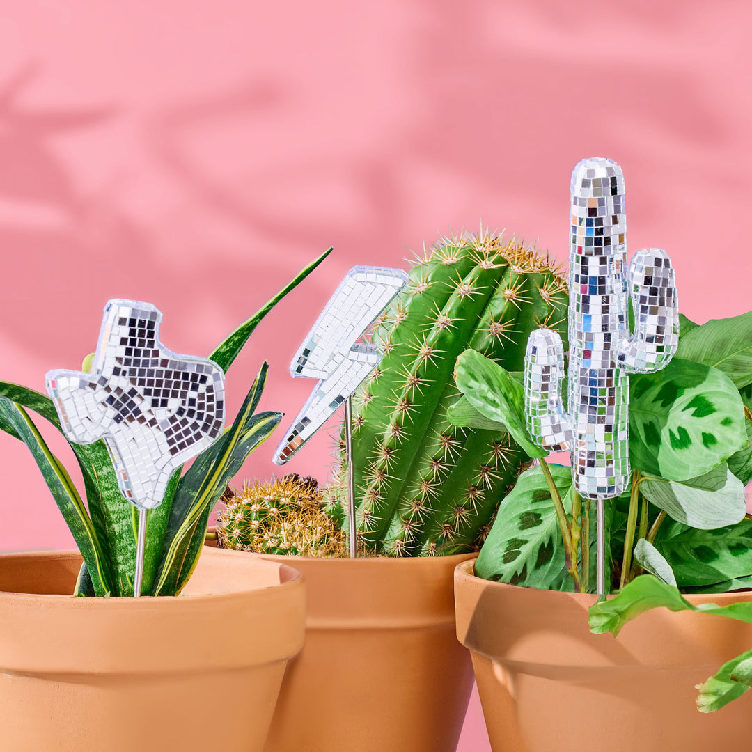 Decorative disco plant stakes with cacti and succulents against a pink background