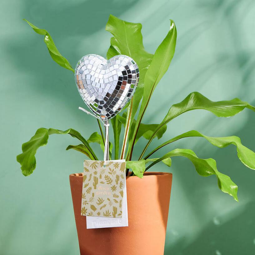 potted plant decorative stakes Disco Heart