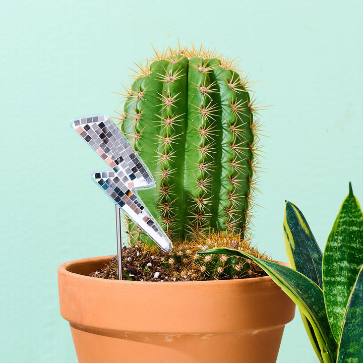 Disco Lightning Bolt - Mirror Disco Ball Plant Stake
