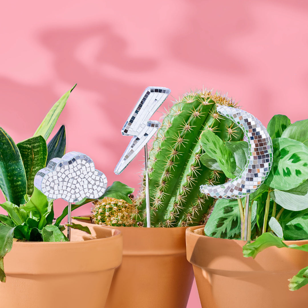 Three plants in terracotta pots with disco ball plant stakes shaped like a cloud, moon and lightning bolt with pink background and plant shadows.
