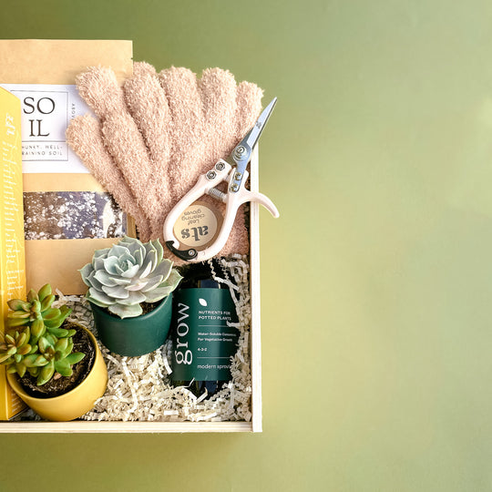 Curated Gift Boxes | Custom Botanical Gifts | Paloverde Botanicals