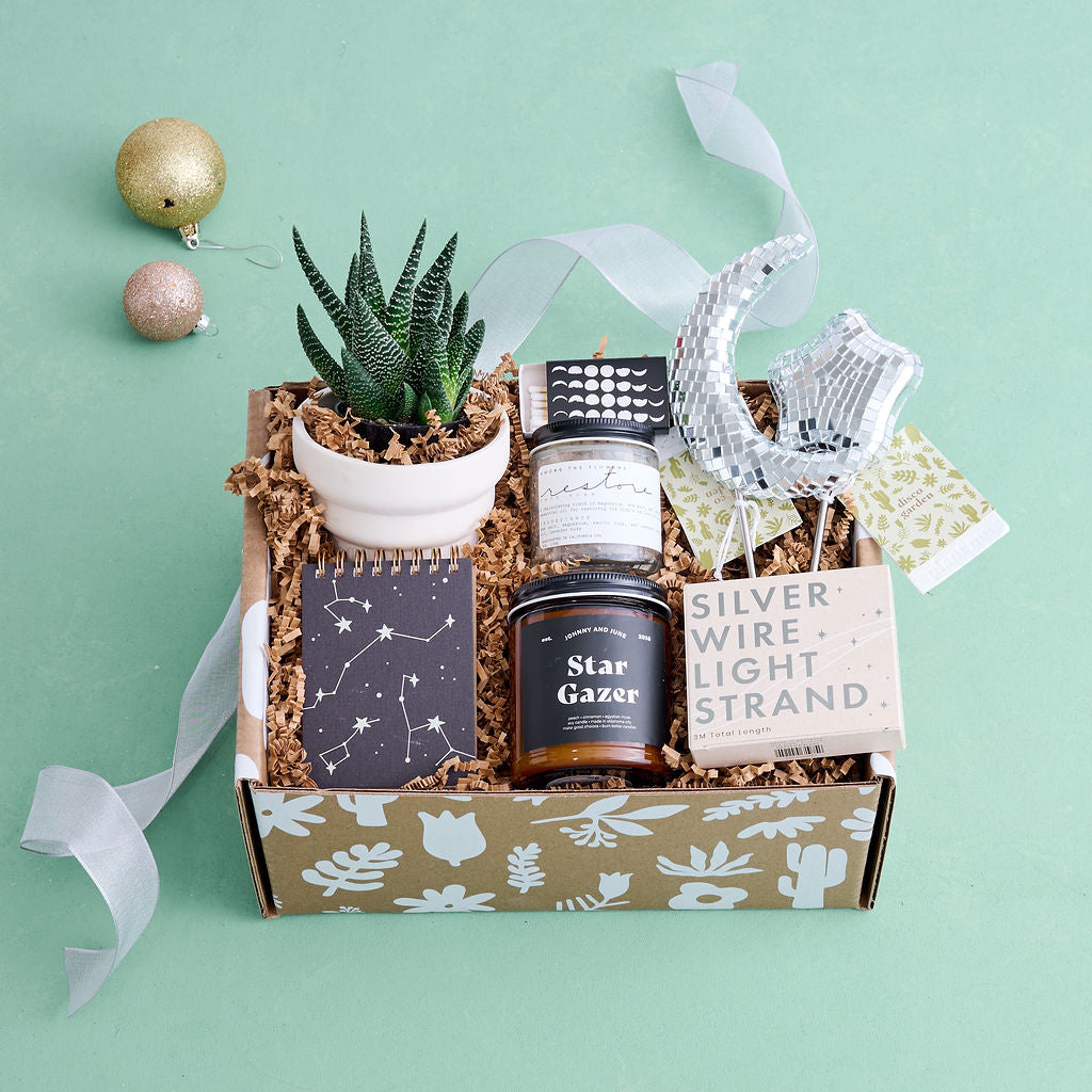 succulent holiday gift Starry Night