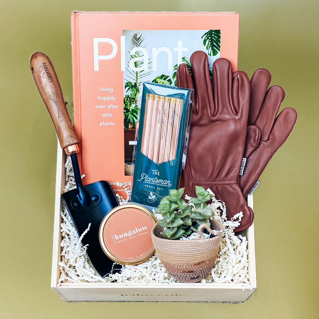 The Plant Bungalow Gift Box - New Home Plant Lover Gifts – Paloverde  Botanicals