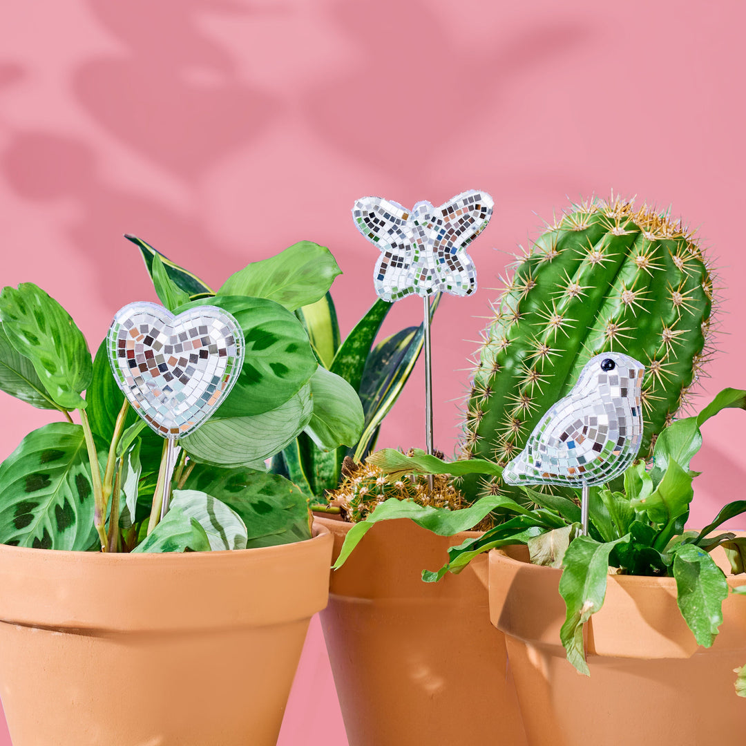 Three terracotta otted plants with disco ball decorative plant stakes shaped like a butterfly, bird and heart against a pink background