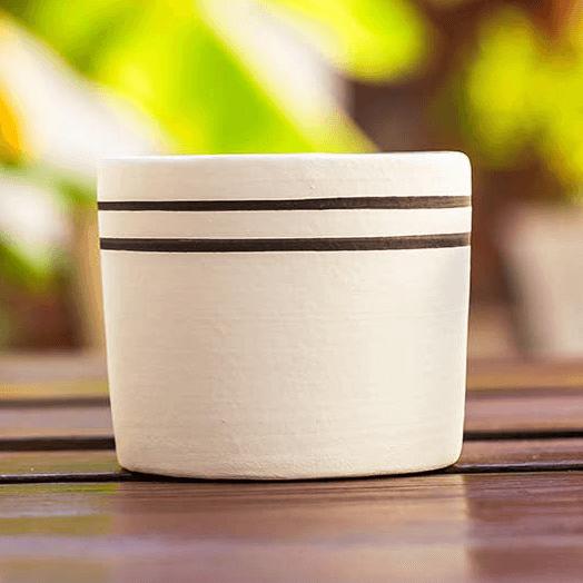 black and white striped plant pot Black & White 3.5" Ceramic Planters – Paloverde Botanicals