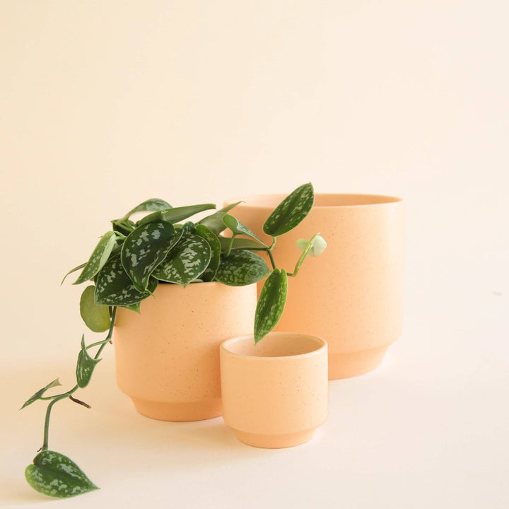 3" Sunset Speckle Planter