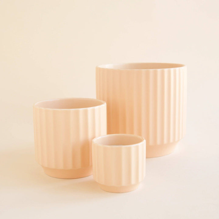 3" Vanilla Monroe Planter