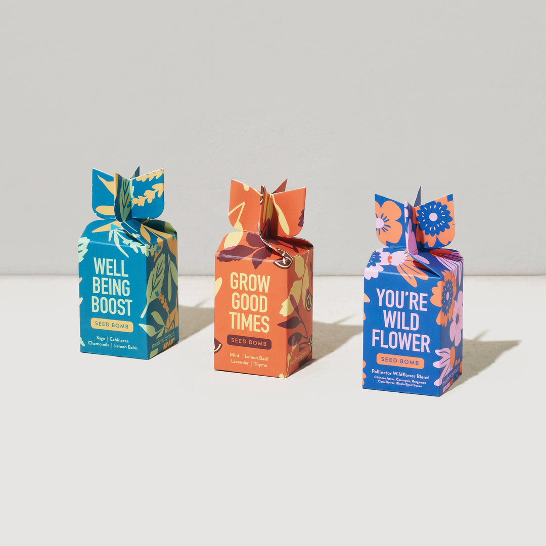 Seed Bomb - Well Being Boost