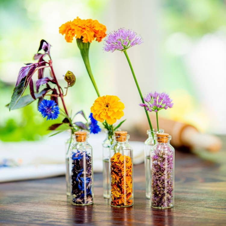 small flower seed packets Edible Flower Seeds