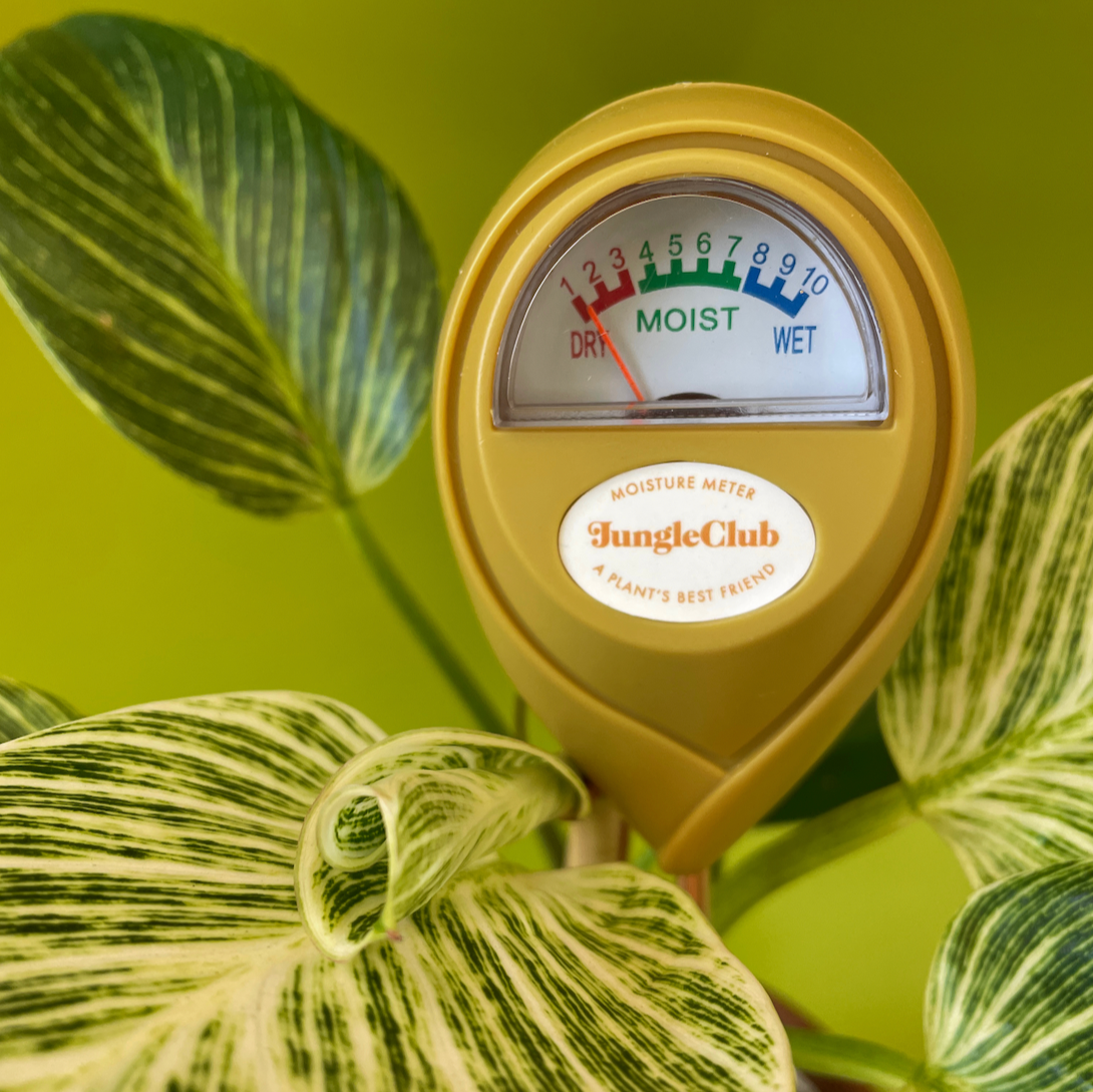 jade plant moisture meter Moisture Meter