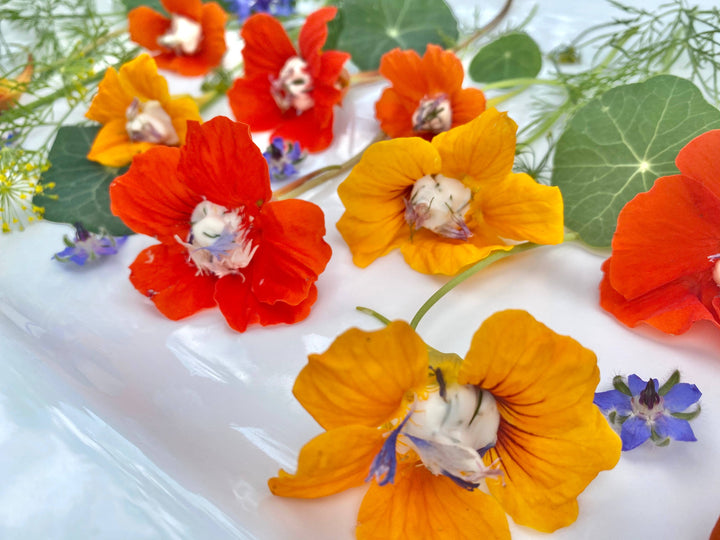 Edible Flower Seed Packet