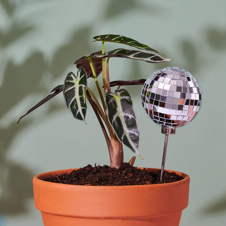 Disco Trio - Set of x3 - 3" Disco Ball Decorative Plant Stakes - Paloverde - unique gift for plant lovers