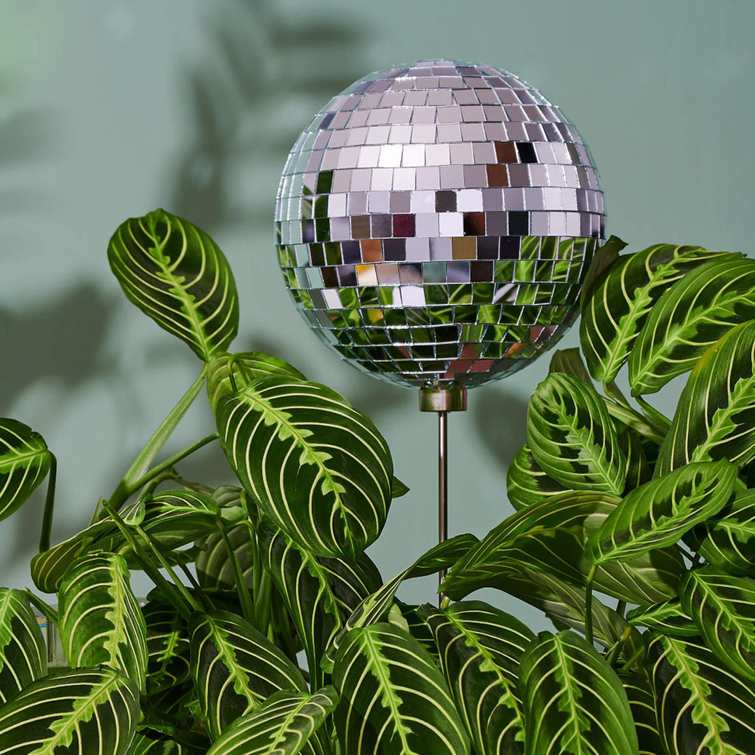 Disco Daddy - 6" Disco Ball Decorative Plant Stake - Paloverde - unique gift for plant lovers