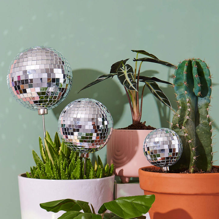 Disco Daddy - 6" Disco Ball Decorative Plant Stake - Paloverde - unique gift for plant lovers
