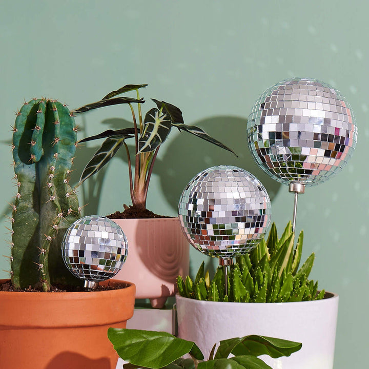 A set of three mirrored disco balls sit amongst potted houseplants - the perfect finishing decoration for your disco gardens.