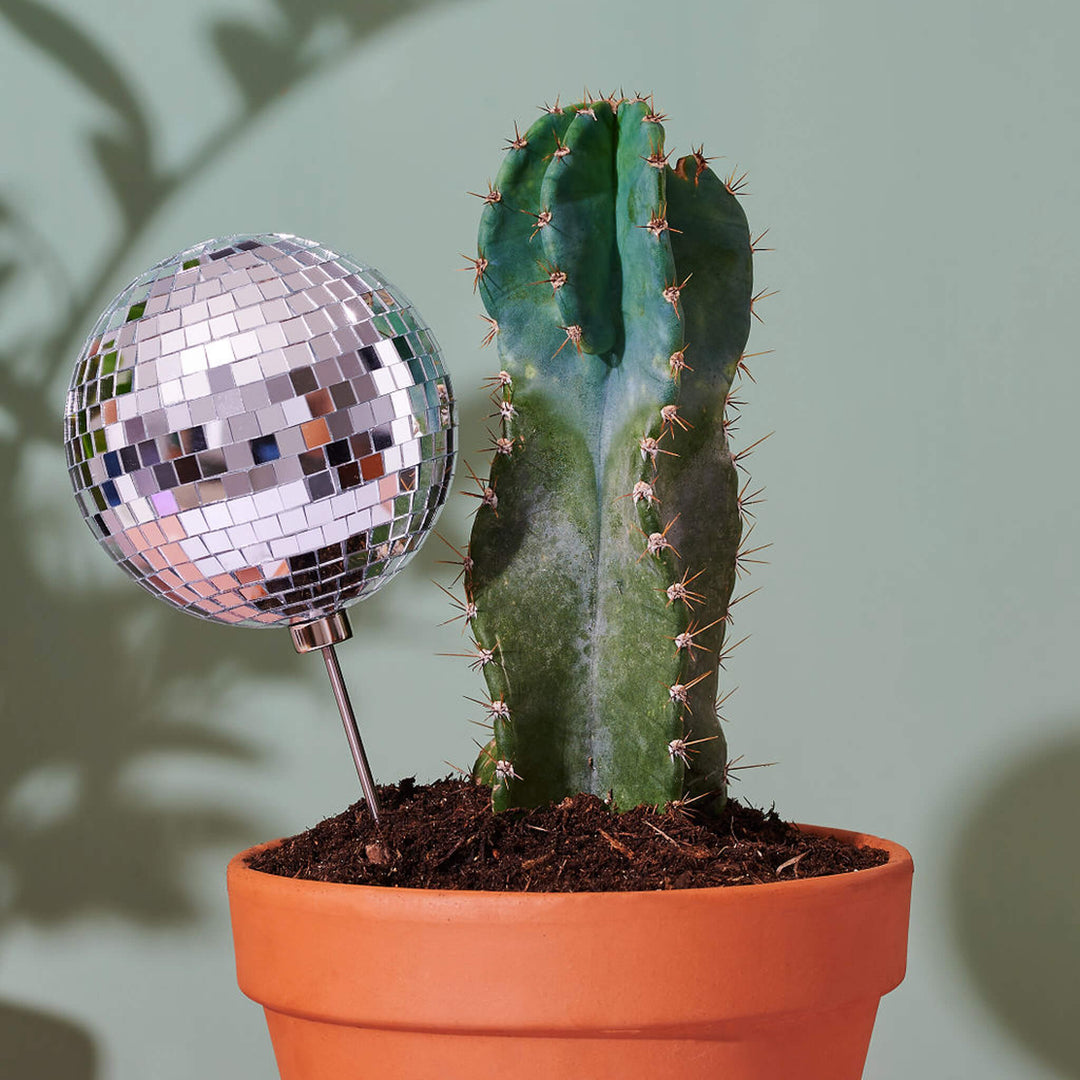 Disco Queen - 4.5" Disco Ball Decorative Plant Stake - Paloverde - unique gift for plant lovers