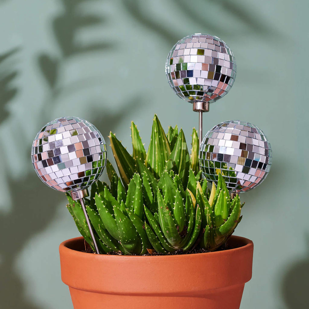 Disco Trio - Set of x3 - 3" Disco Ball Decorative Plant Stakes - Paloverde - unique gift for plant lovers