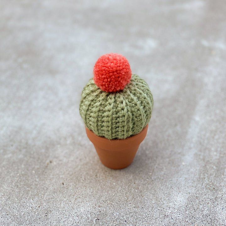 Mini Crochet Cactus Decor Fuzzypod Coral + Green 