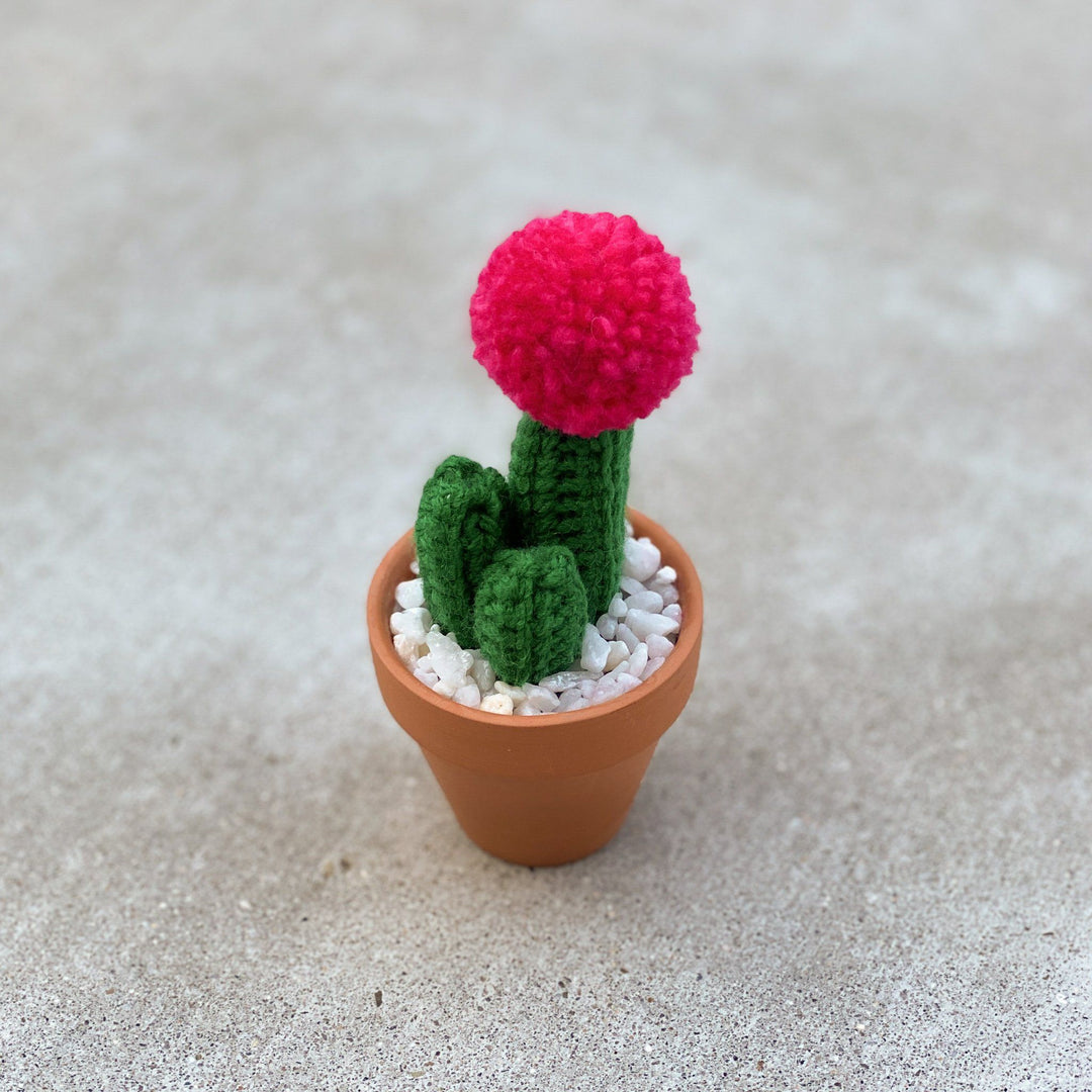 Mini Crochet Cactus Decor Fuzzypod Fuchsia + Dark Green 