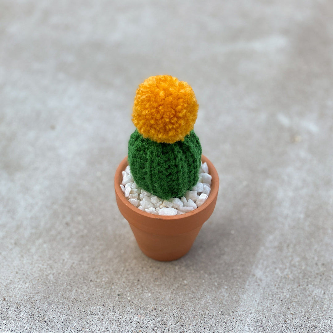 Mini Crochet Cactus Decor Fuzzypod 