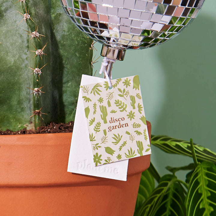 A close up image of a disco garden hangtag attached to a mirror disco ball. Each hang tag comes with a plantable seed tag and instructions.