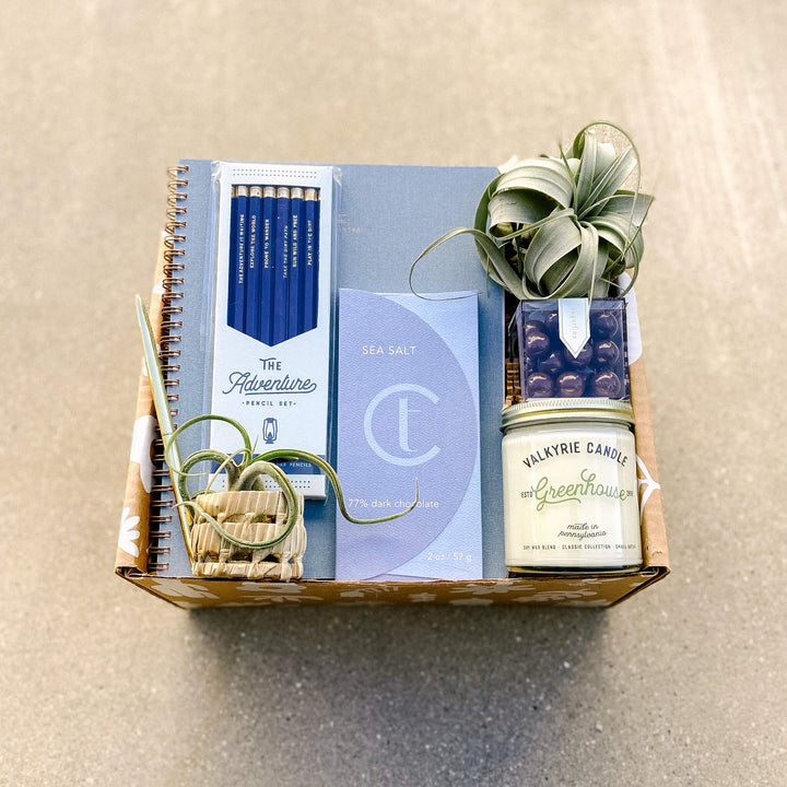 Air plant gift box with blue botanical gifts for birthday gift