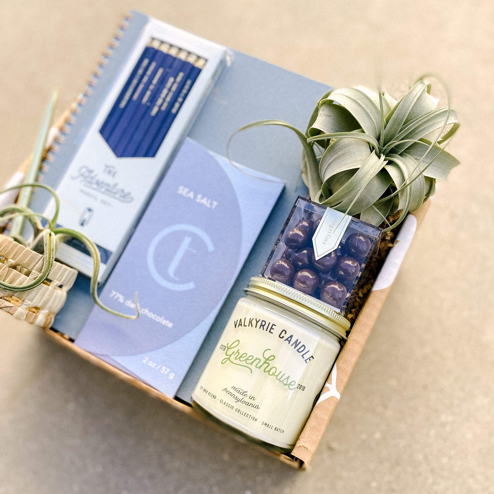 Air plant gift box with blue botanical gifts for coworker