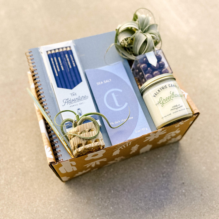 Botanical gift box with air plants, Greenhouse candle, candy cube, gold pen, pencil set, blue notebook