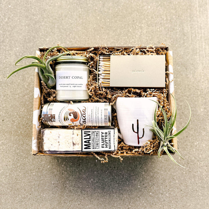 Air plant gift box with sweet treats for them