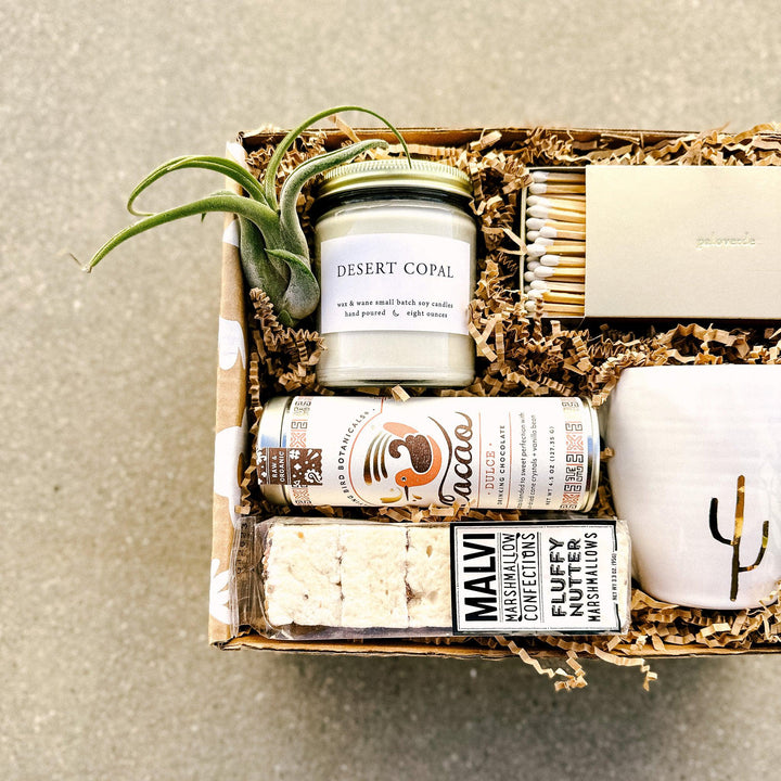 Self care gift box with botanical gifts and air plant