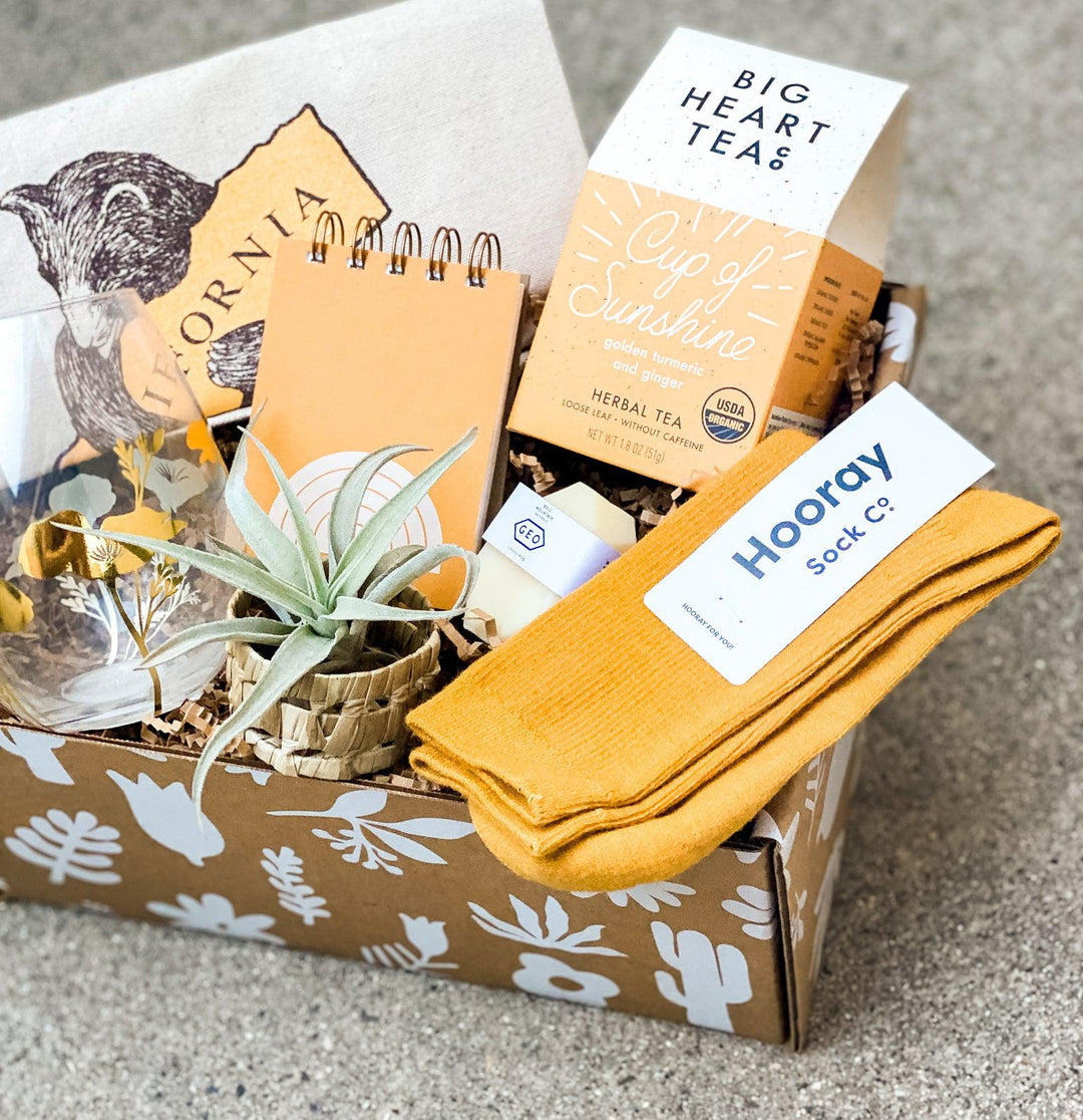Birthday gift box with air plant, mustard socks and other gifts